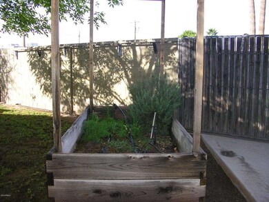 Raised Bed