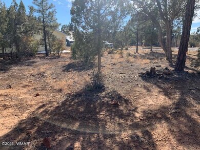 0 N Canyon Loop unit 234032, Show Low, AZ 85901 - photo 7