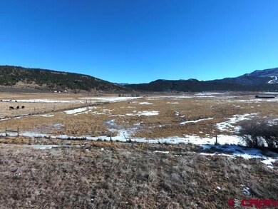 TBD Hunter Pkwy, Ridgway, CO 81432 - photo 7