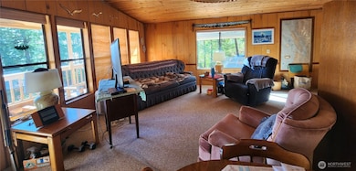 222 Towhee Ln, Brinnon, WA 98320 - photo 4