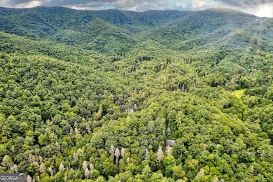 3421 Devils Den Rd, Epworth, GA 30541 - photo 4