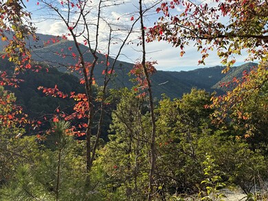 406 Cardinal Bluff Rd, Whittier, NC 28789 - photo 5