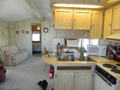 View from Kitchen