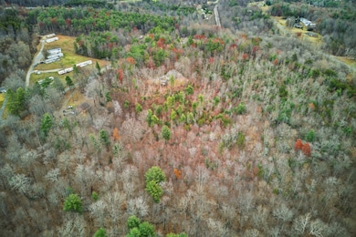 RTE 864 Old Ferrum Rd, Ferrum, VA 24088 - photo 5