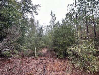 Tract#6418 Mattox Springs Rd unit N1, Caryville, FL 32427 - photo 5