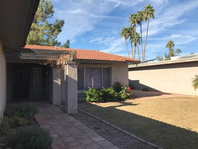 Front Yard