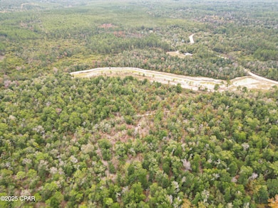 0000 Highview Cir, Chipley, FL 32428 - photo 3