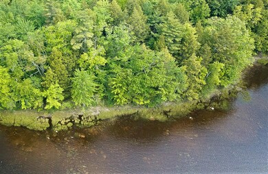 Aerial view of shoreline 2 CROPPED