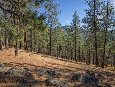 TBD Raven Ridge, Nine Mile Falls, WA 99026 - photo 3