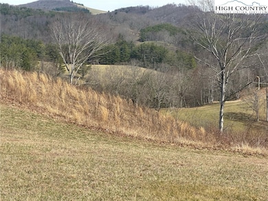 12 Turtle Ridge Rd, Sparta, NC 28675 - photo 2