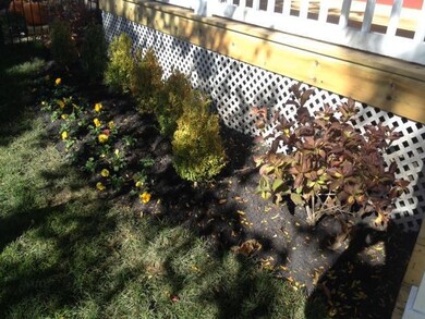 Front Landscaping