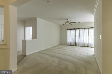 1011 Samantha Ln unit 5-203, Odenton, MD 21113 - photo 5