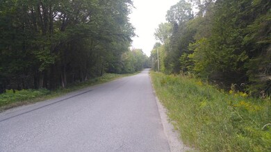 Lot 73 Chadbourne Rd, Harmony, ME 04942 - photo 4