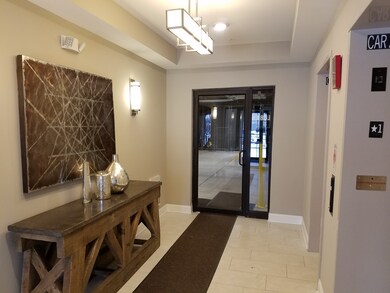 2701 Commons Dr unit 305, Glenview, IL 60026 - photo 3
