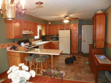 223 Foust Hill Rd, Hughesville, PA 17737 - photo 5