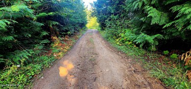 0 Alder Way unit 23-8799, St. Maries, ID 83861 - photo 7