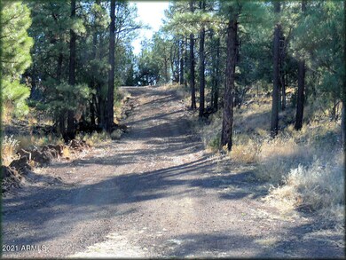 Driveway2