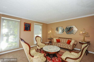 4931 Ilchester Point Ct, Ellicott City, MD 21043 - photo 6