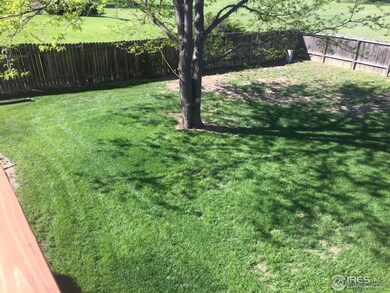 Back Yard Left