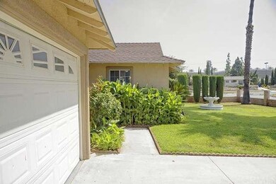 Front Garden 1