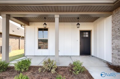 17656 Cabernet St, Athens, AL 35613 - photo 5