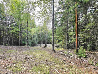 0 Cricket Lane Rd unit 10 & 11 5000689, Colebrook, NH 03576 - photo 2