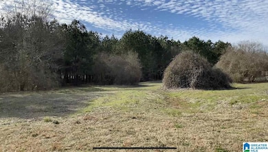 Lot 10 County Road 70, Thorsby, AL 35171 - photo 4