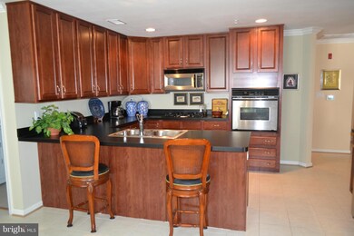 4800 Coyle Rd unit 309, Owings Mills, MD 21117 - photo 3