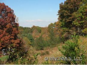 168 Moores Valley Rd, Leicester, NC 28748 - photo 5