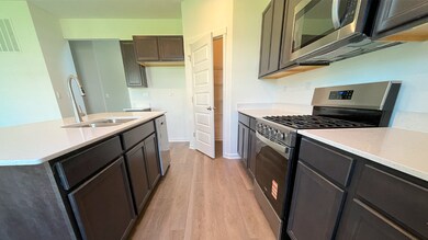 26100 S Castle Blvd, Manhattan, IL 60442 - photo 4