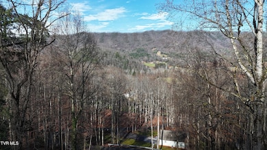 591 Deer Haven Rd, Unicoi, TN 37692 - photo 2