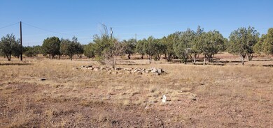 2237 N Luana Dr, Williams, AZ 86046 - photo 6