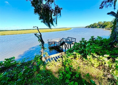 1334 Azalea Rd NE, Townsend, GA 31331 - photo 2