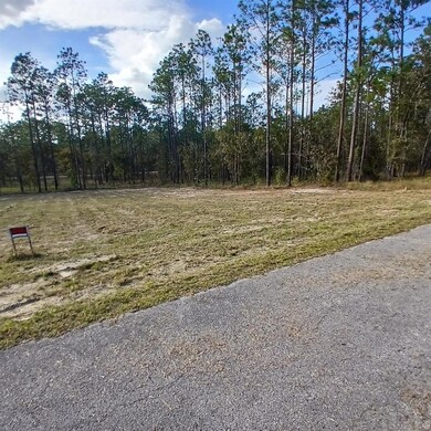 0 Narcissus Rd, Dunnellon, FL 34431 - photo 4