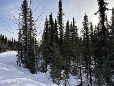 IMG_9643_L6