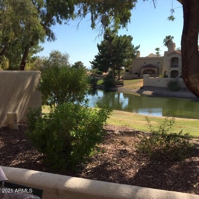 Back Patio with view