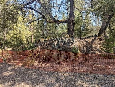 2 Eden Forest Dr, Colfax, CA 95713 - photo 2