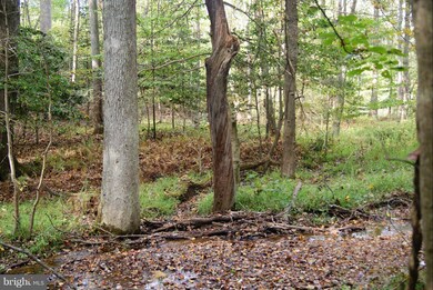 4430 Camelot Dr, Pomfret, MD 20675 - photo 7