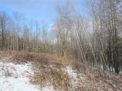 6115 Lake Rd, Newport Center, VT 05857 - photo 6