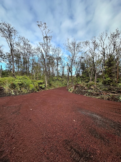 11-2889 Kaleponi Rd, Volcano, HI 96785 - photo 4
