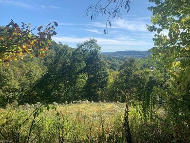 00 Floral Dr, Wheeling, WV 26003 - photo 5