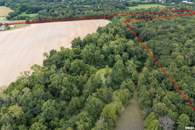 53 Private Rd, Desoto, IL 62924 - photo 3