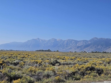 1205 Stephanie Way unit 57, Minden, NV 89423 - photo 7