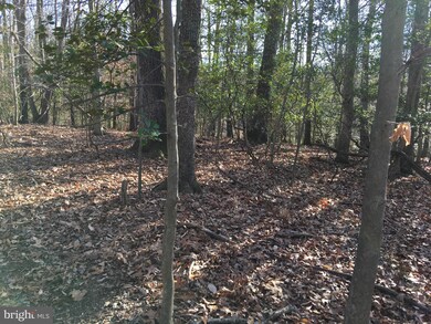 12791 Westside Rd, Manassas, VA 20112 - photo 5