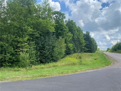 On Pixley Shores Rd, Fifield, WI 54524 - photo 2