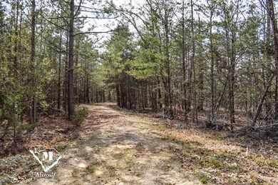 0 Cowpens Pacolet Rd unit 23075109, Spartanburg, SC 29307 - photo 6