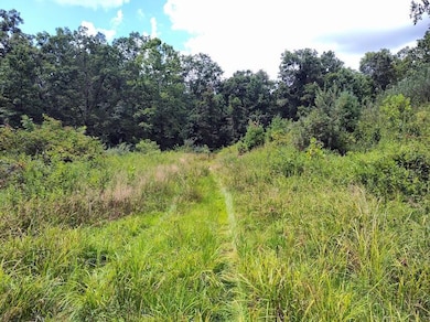 1150 Logan Hollow-Copperas Branch Rd, Morehead, KY 40351 - photo 7