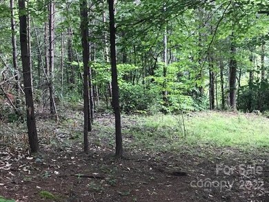 0000 Mallard Rd, Lake Lure, NC 28746 - photo 3