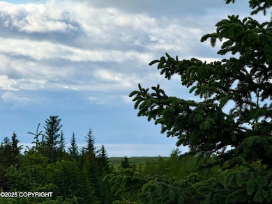 73956 Desa Ave, Anchor Point, AK 99556 - photo 3