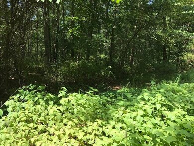 Lot 3 Leona Dr, Bella Vista, AR 72715 - photo 3